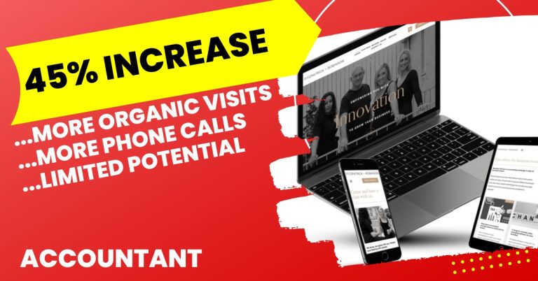 Accountant organic growth marketing SEO case study