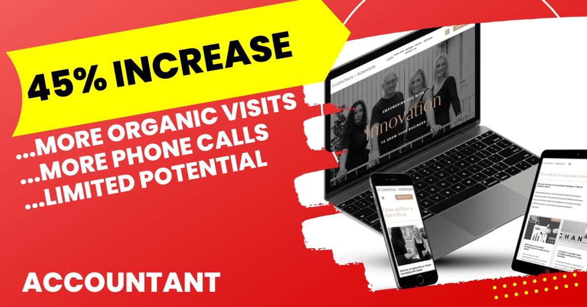Accountant organic growth marketing SEO case study